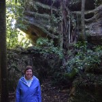 Wandelend door The Grove in Pohara