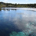 Opborrelend water van de Waikoropupu Springs